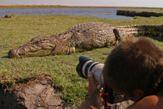 Crocodile Dundee Chris